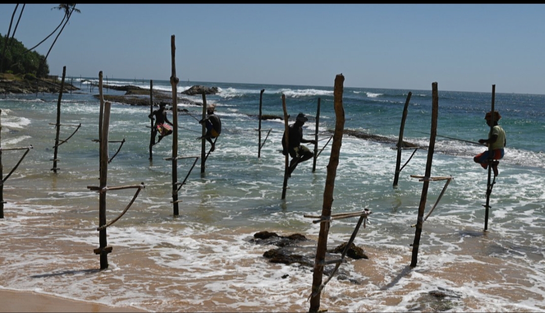 Guest photo from a Sri Lanka tour with Sahan