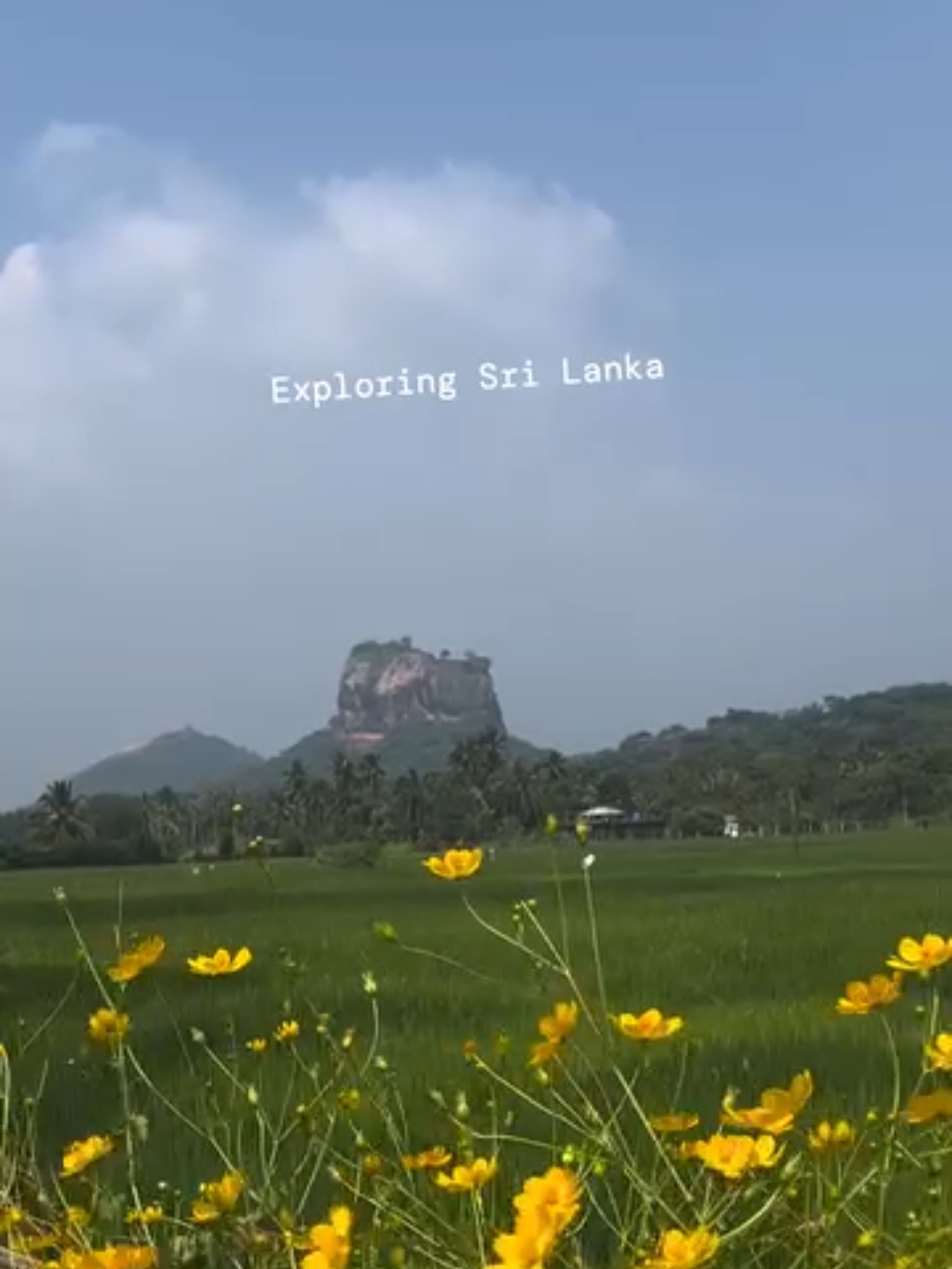 Guest photo from a Sri Lanka tour with Sahan