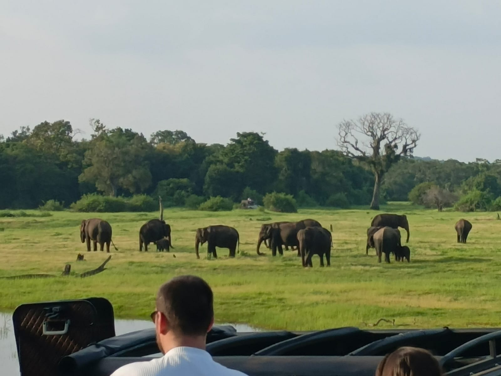 Guest photo from a Sri Lanka tour with Sahan