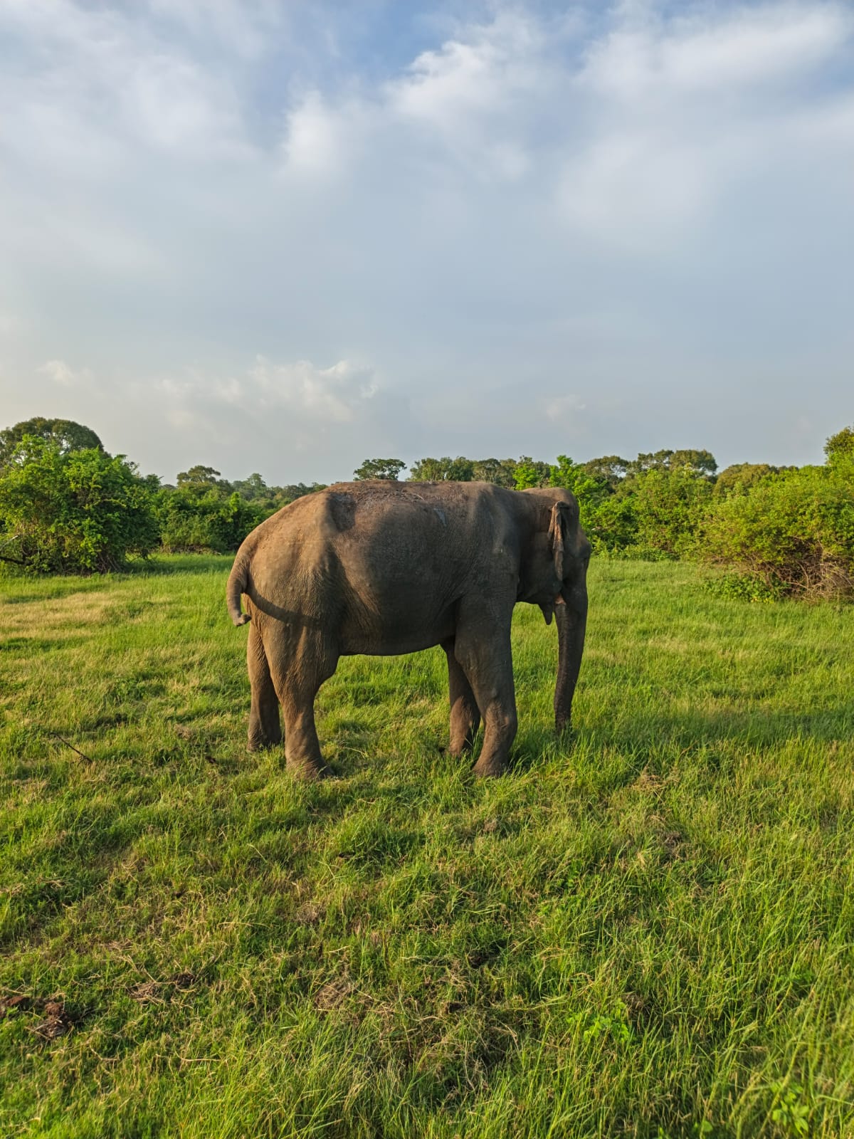 Guest photo from a Sri Lanka tour with Sahan