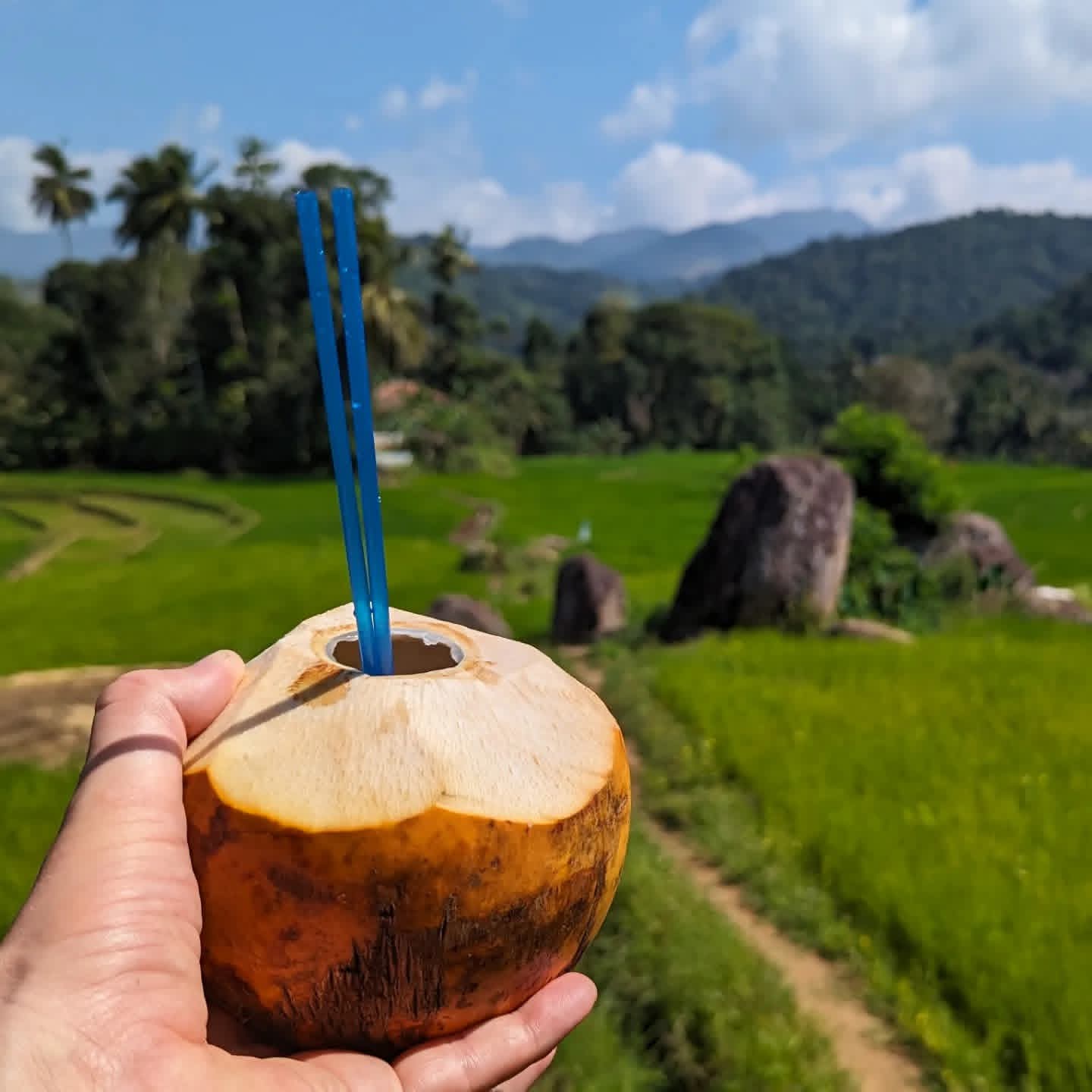 Guest photo from a Sri Lanka tour with Sahan