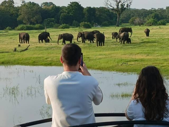 Guest photo 8 from a private Sri Lanka tour with Sahan