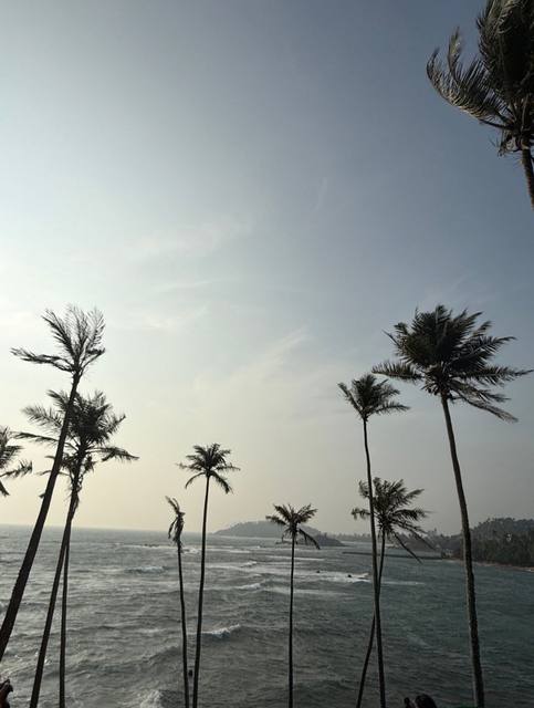 Guest photo 29 from a private Sri Lanka tour with Sahan