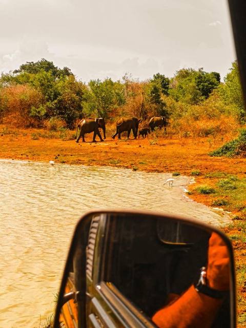 Guest photo 40 from a private Sri Lanka tour with Sahan
