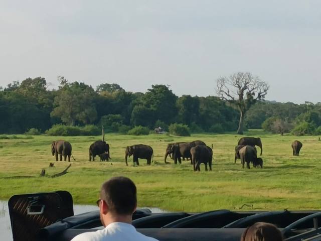 Guest photo 51 from a private Sri Lanka tour with Sahan