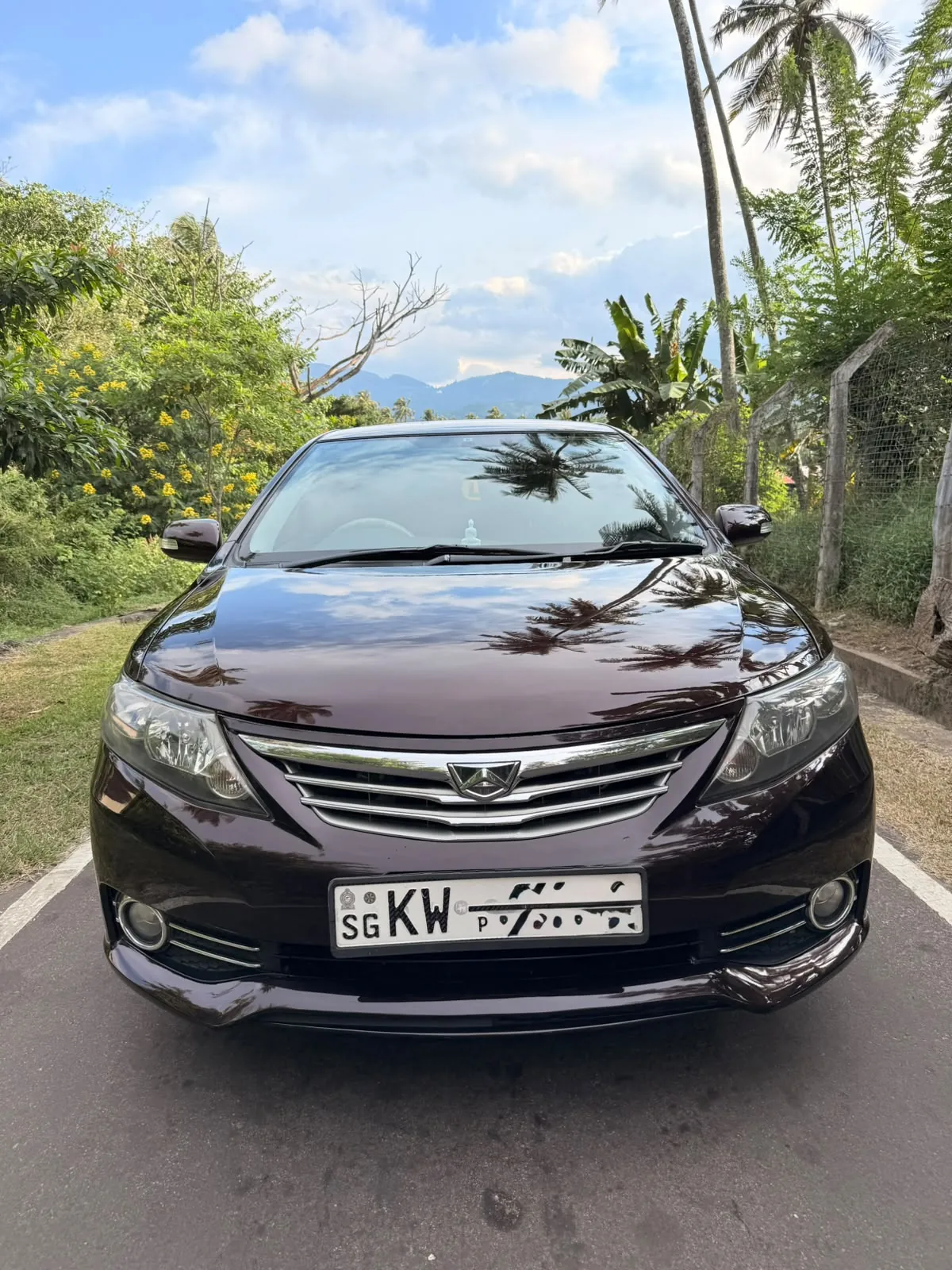 Toyota Allion — front of the dark-coloured car on a palm-lined road